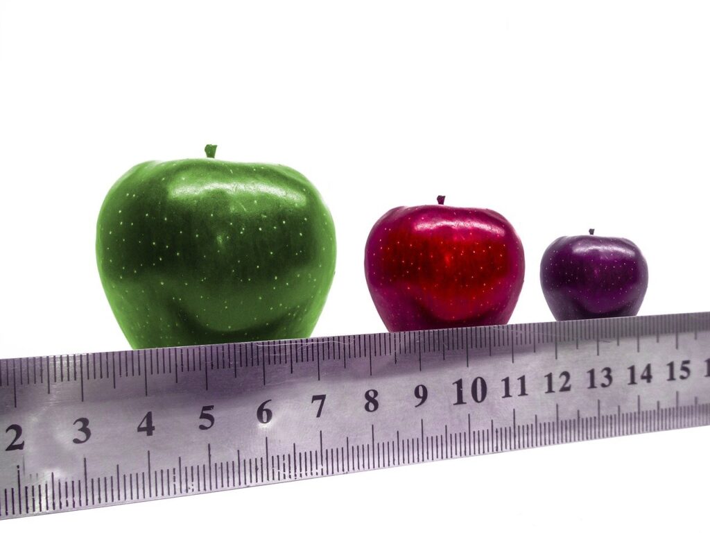 サイズ・単位を表す”ものさし・リンゴの写真