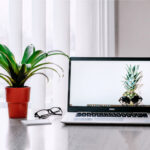 オーガニック検索とは?ダイレクト検索との違いやSEO対策を解説！