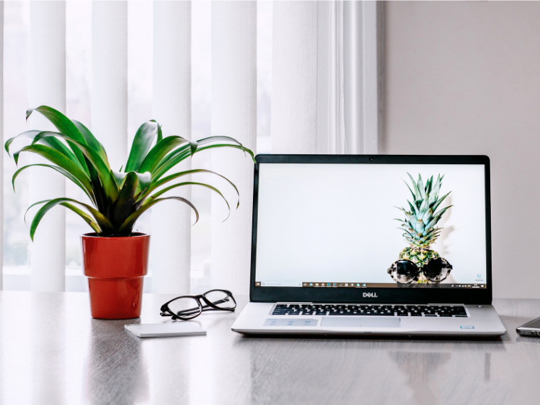 オーガニック検索とは?ダイレクト検索との違いやSEO対策を解説!