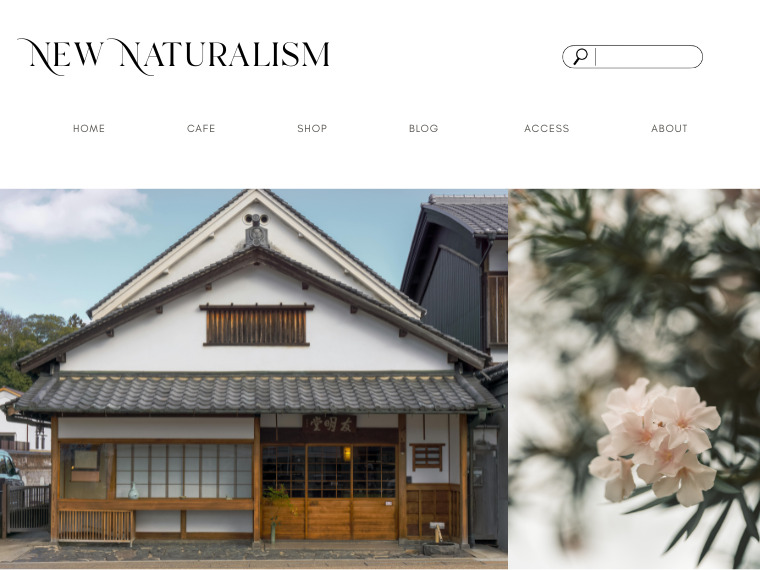 7. New Naturalism Design
