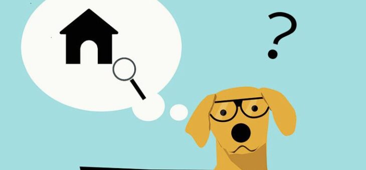あなたはどこから来たの？ Webサイト運営で重要なリファラーとは