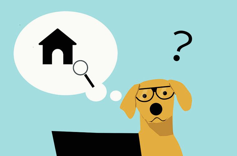 あなたはどこから来たの？ Webサイト運営で重要なリファラーとは